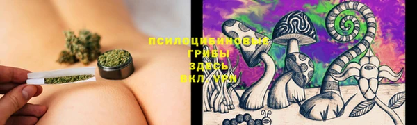 СК Балабаново