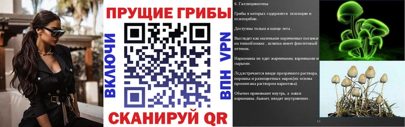 Галлюциногенные грибы Psilocybe  где продают наркотики  нарко площадка Telegram  Гаджиево 