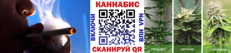 Конопля Bruce Banner  Гаджиево 